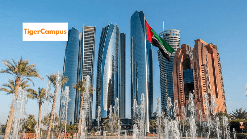 How many schools are there in Abu Dhabi?